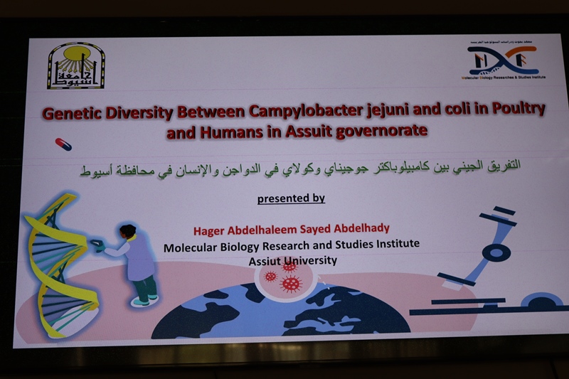 هاجر12