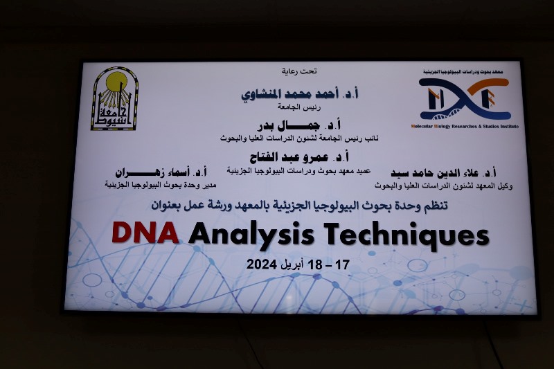 DNA2