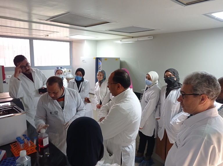 cell22-3