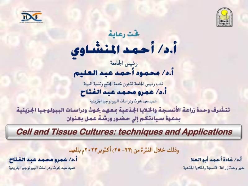 tissue22
