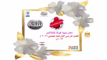 نتيجة