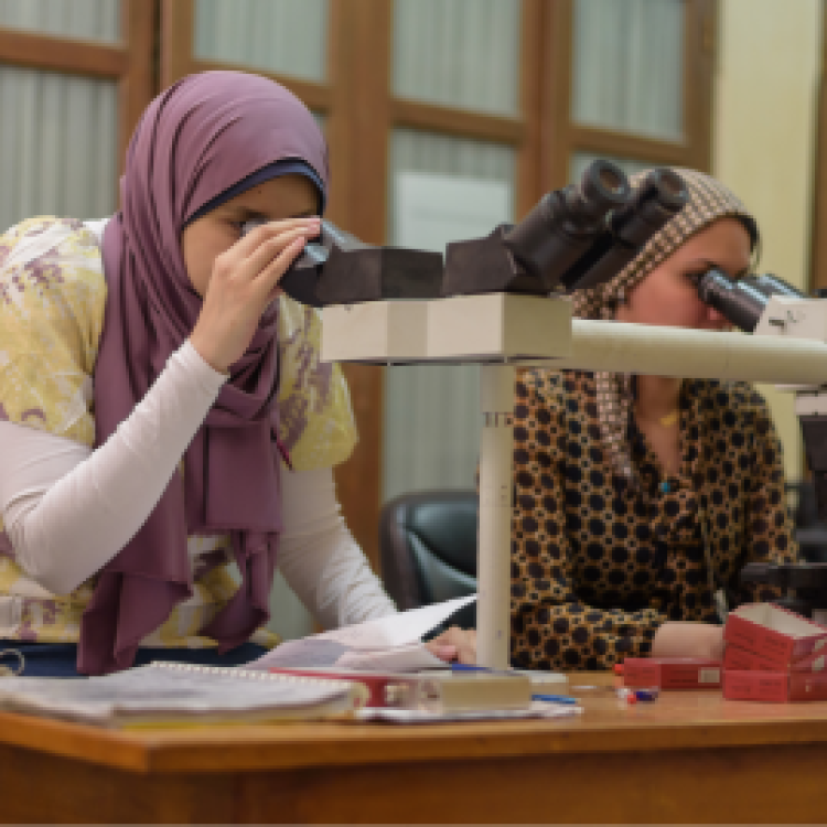 Department of pharmacology