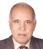 Prof. Ahmed Abdel Rahman Ali Ibrahim