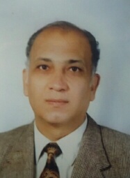 Prof. Ahmed El-Sayed Ahmed Aboutaleb