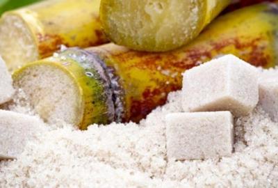 Science and Technology of the Sugar Industry