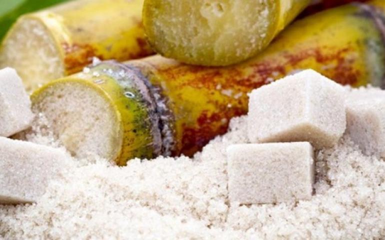 Science and Technology of the Sugar Industry