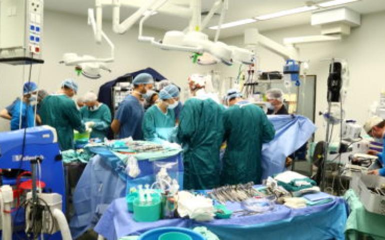 Department of Surgical Oncology