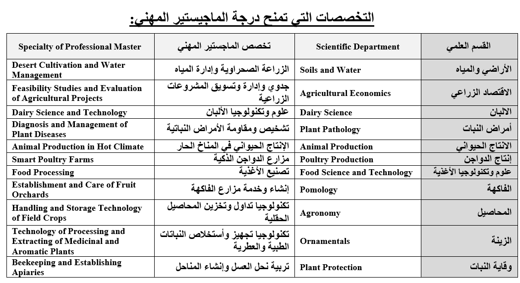 الماجستير المهنى