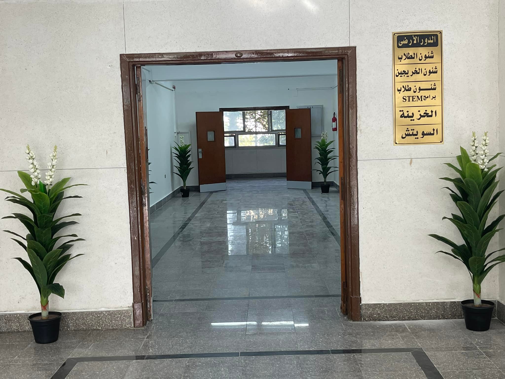 تطوير