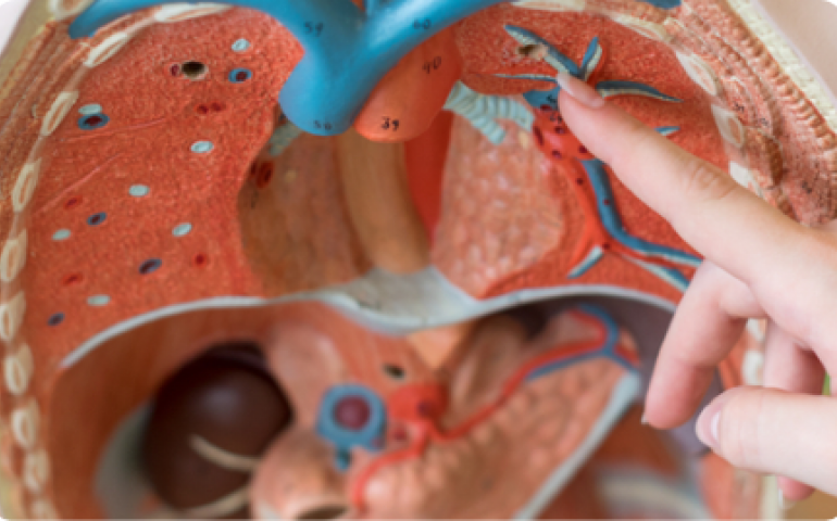 Department of Cardiology 
