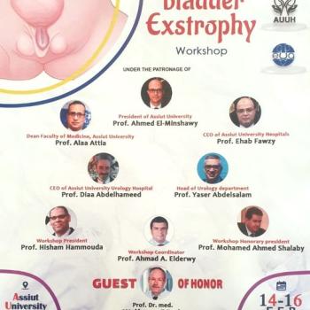 A workshop on treating open bladder in children at the Urology Hospital at Assiut University during the period from February 14-16, 2024 in the conference hall at nine in the morning.