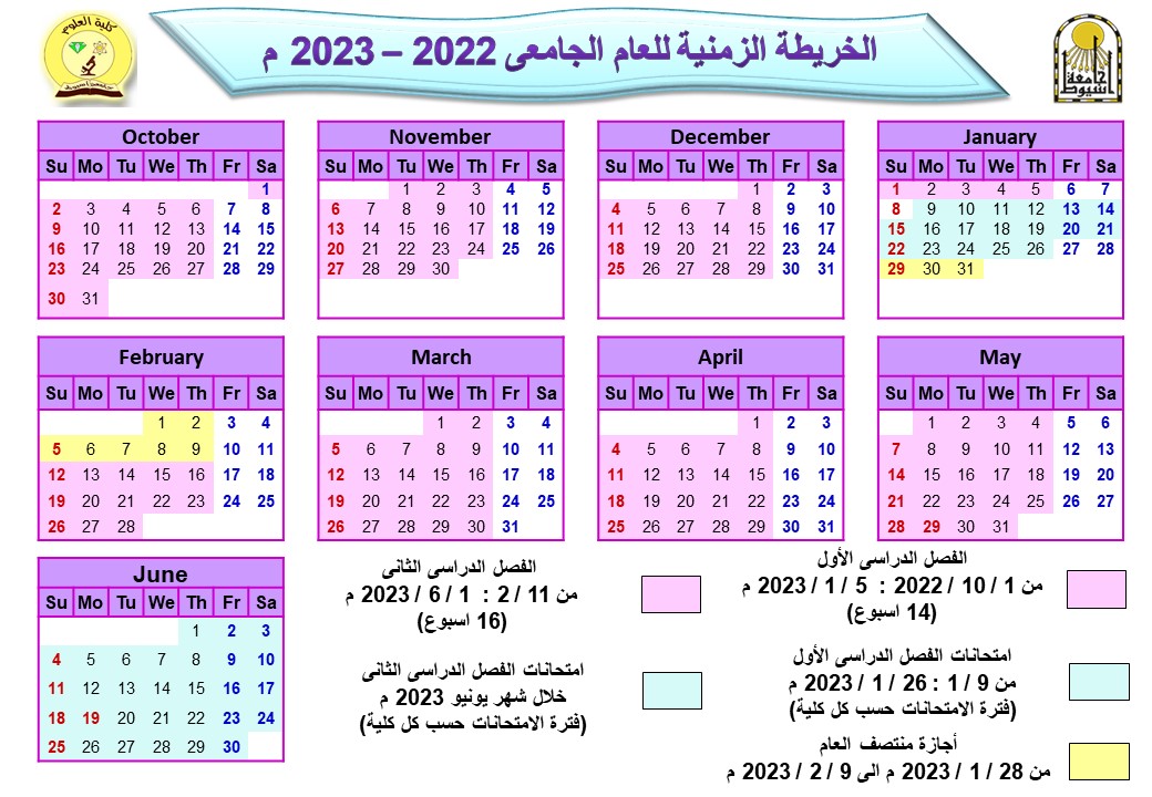 timeline
