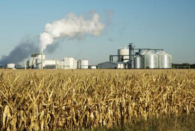 Science and Technology of Industrial Fermentation
