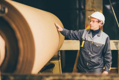 Science and Technology of Pulp, Paper and Board Industry Department