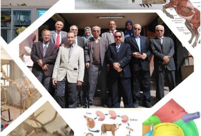 قسم التشريح والاجنه 