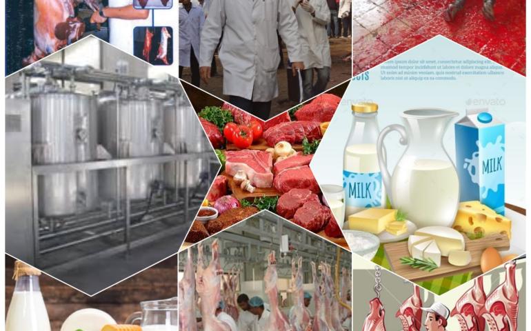 Department of Food Hygiene